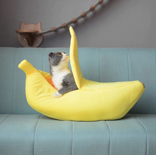Banana House-0