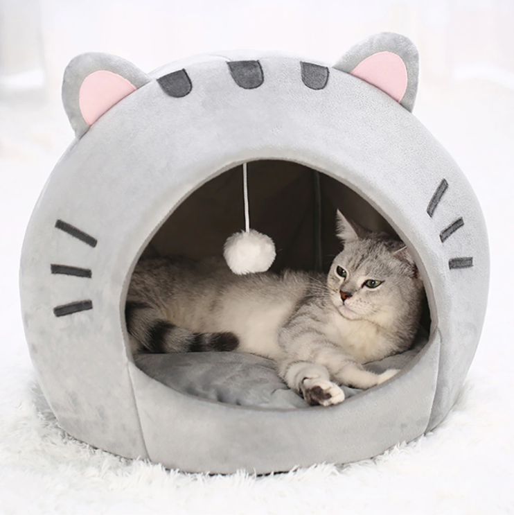 Cat House-0