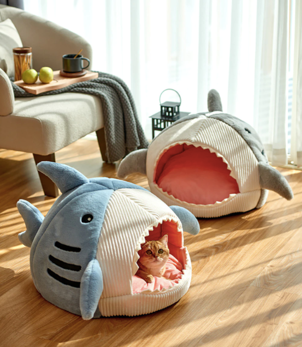 Shark House-0