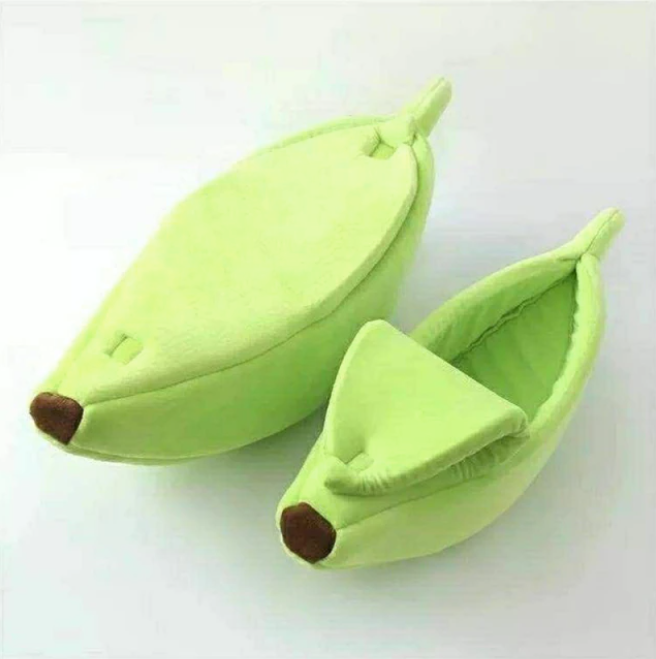 Banana House-4