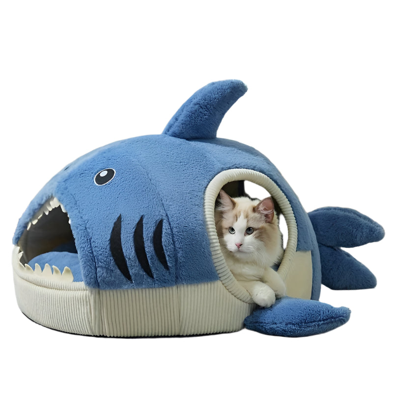 Shark House-0