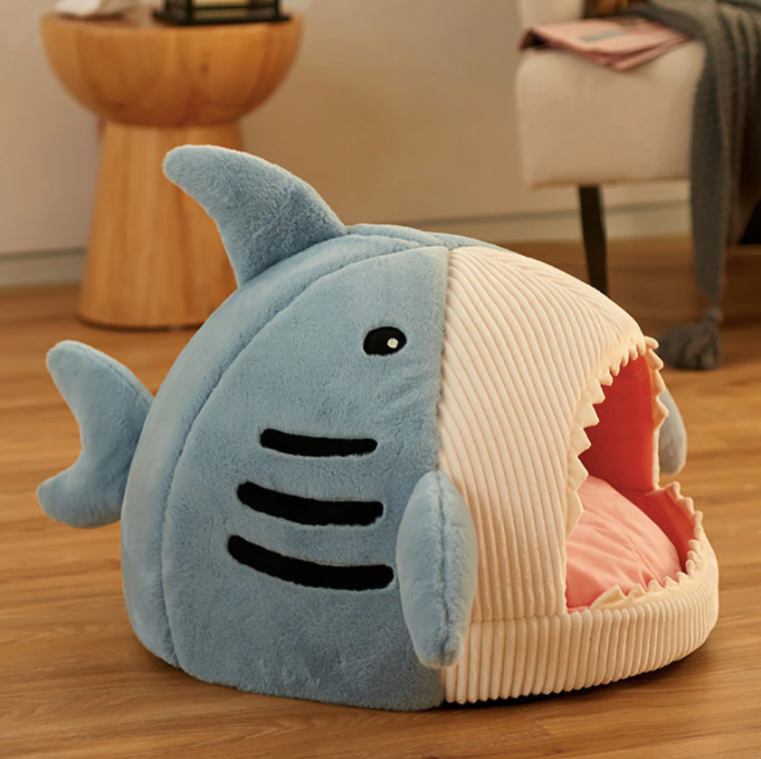 Shark House-1