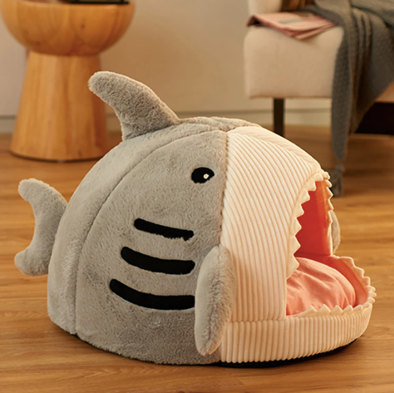 Shark House-2